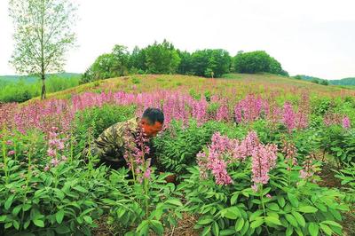 梅河口:做强农业 富裕农民